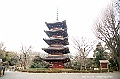 ueno park 24